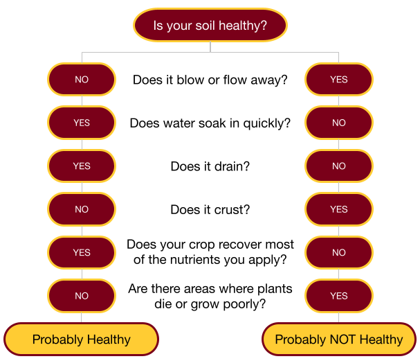 Decision maker chart - Is your soil healthy?